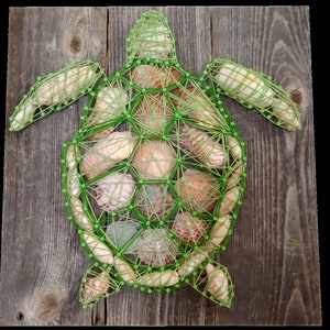 May include: Green string art of a sea turtle with a shell made of seashells on a wooden background.