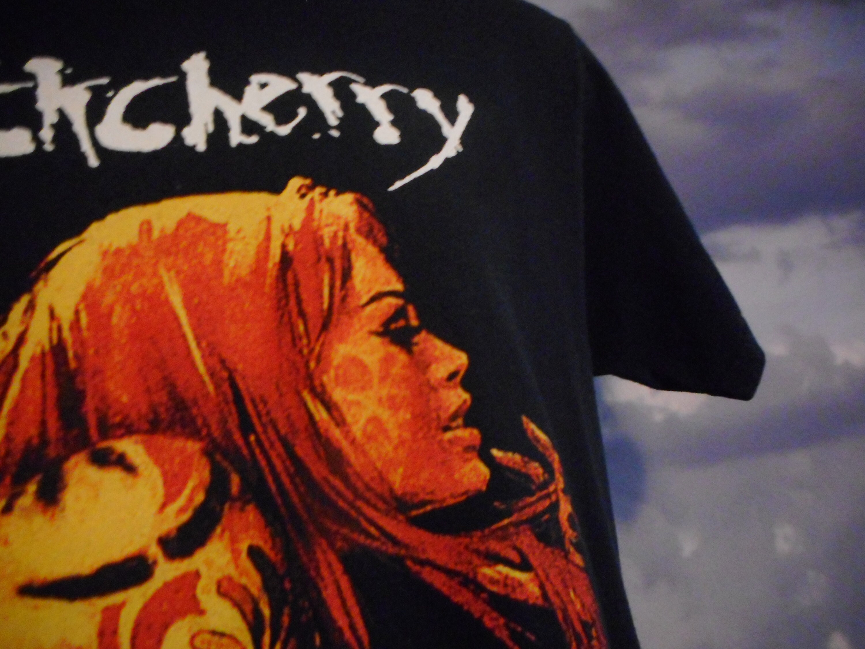 Buckcherry Tee Top T Shirt Vintage Buckcherry Shirt - Etsy