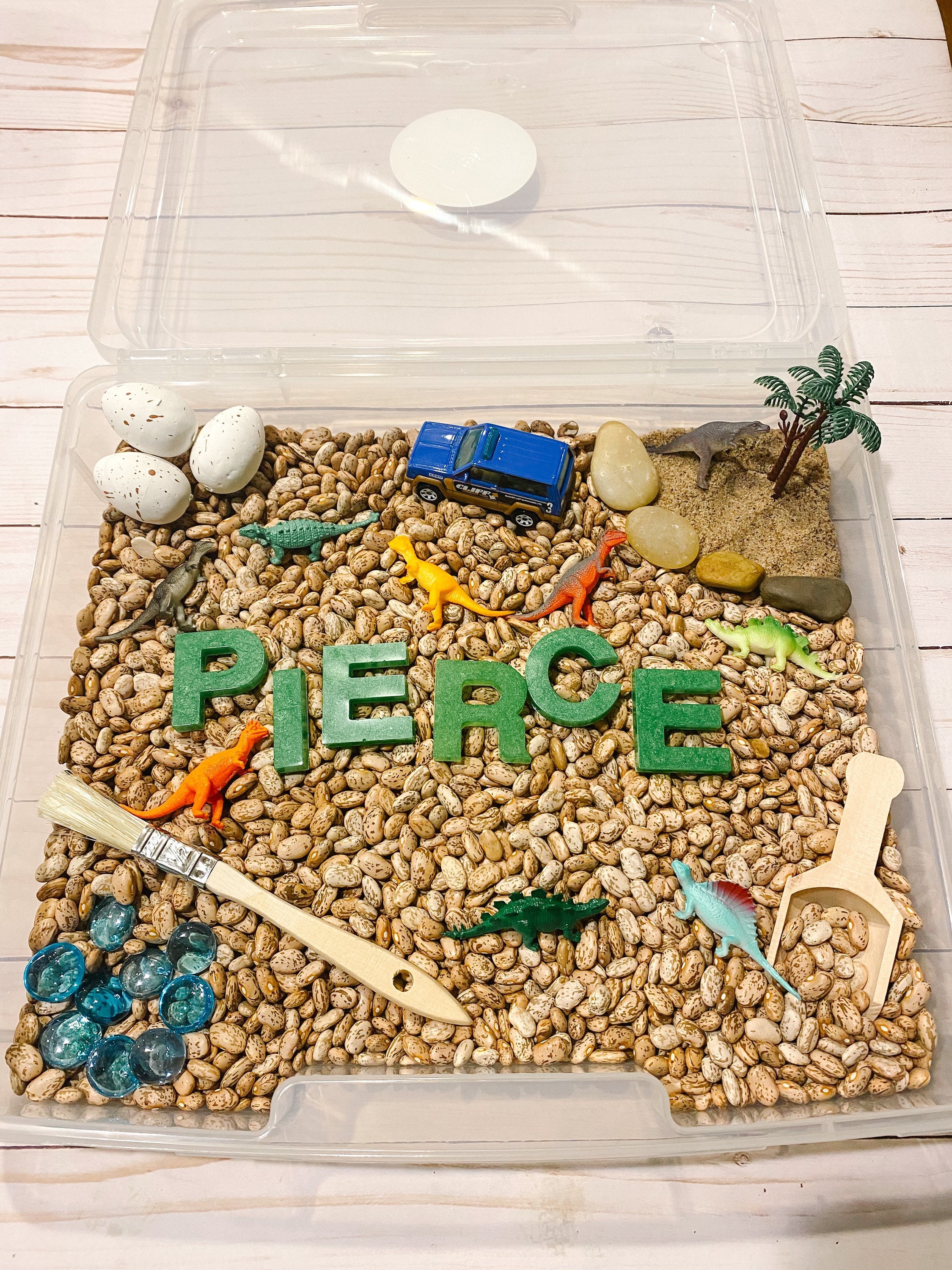 Dinosaur Sensory Bin Etsy