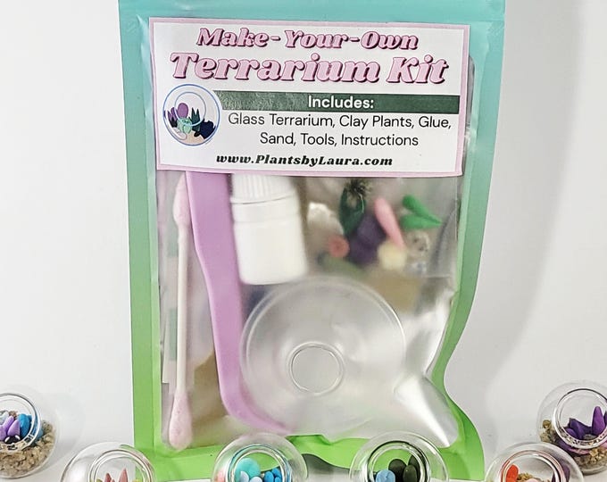 Featured listing image: Mini Terrarium Kit: DIY Clay Succulents, Glass Dome Gift Set