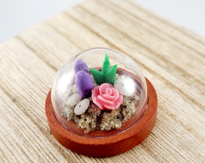 Miniature Clay Succulent Garden: Handmade Kawaii Terrarium