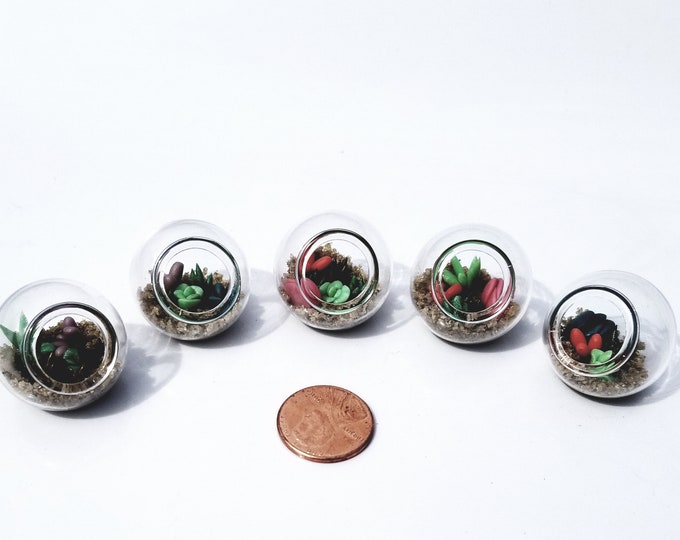 Miniature Clay Succulent Garden: Handmade Sand Terrarium