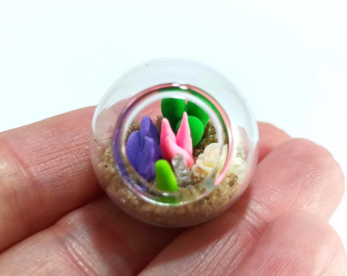 Handmade Micro Clay Plant Terrarium: Miniature Glass Garden