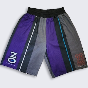 Alonzo Mourning Vintage 90s Nike Basketball Shorts - Charlotte Hornets Colorway - Size Men&#39;s Large - FREE SHIPPING