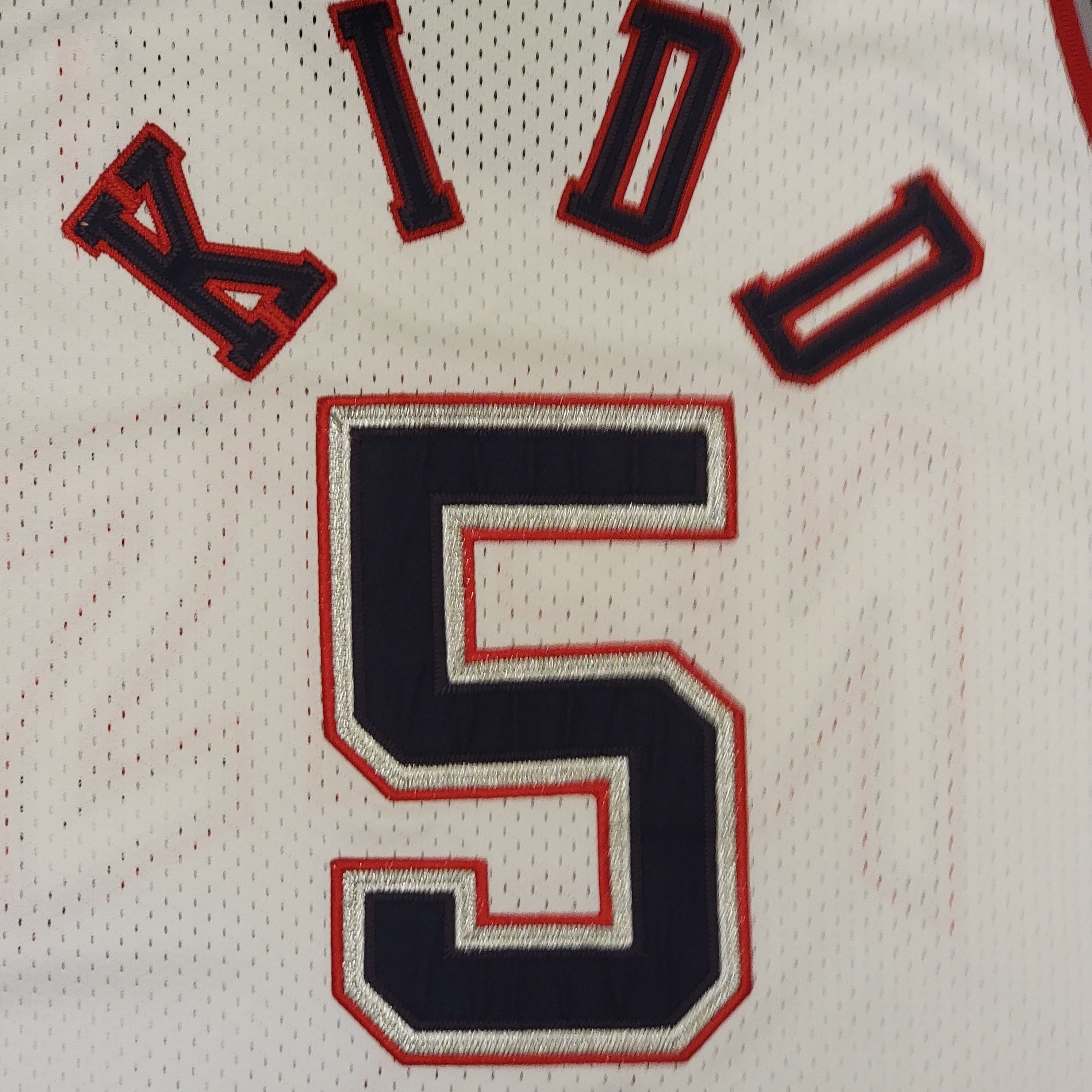 Vintage Champion New Jersey Nets Jason Kidd – Santiagosports