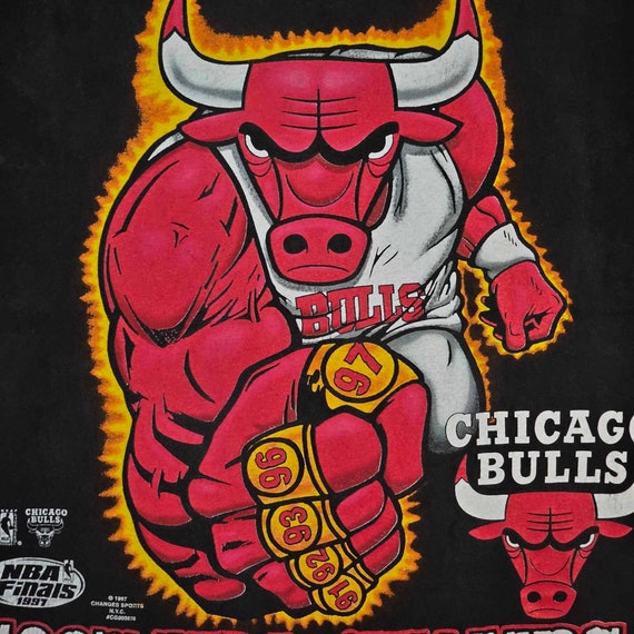 XL Tシャツ 1997 シカゴ・ブルズ vintage 食*べ様 jordan T-Shirt Basketball Bulls Chicago Jordan Michael NBA 90s Vintage トップス