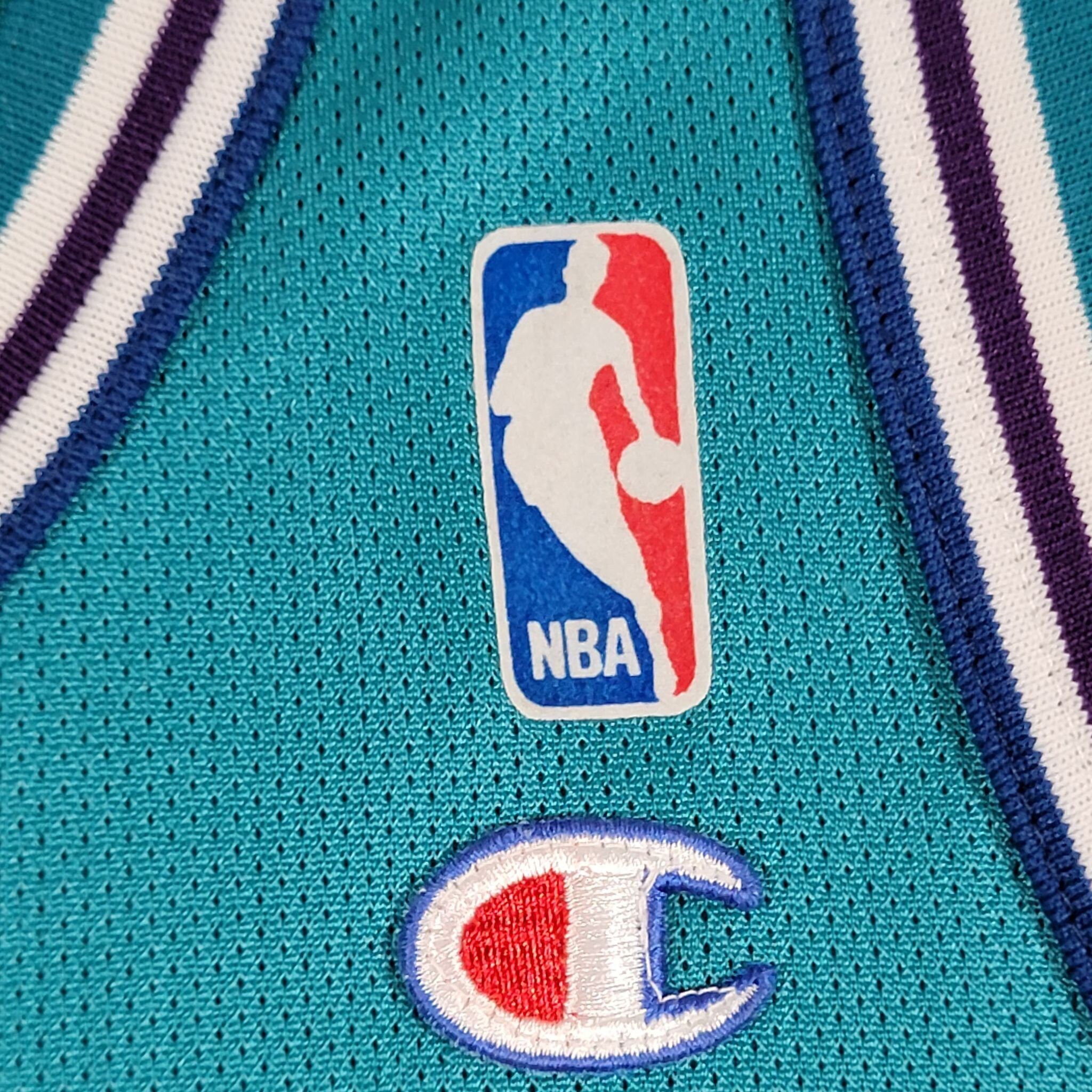 Vintage 90s Charlotte Hornets Larry Johnson Jersey – Thrift Haven