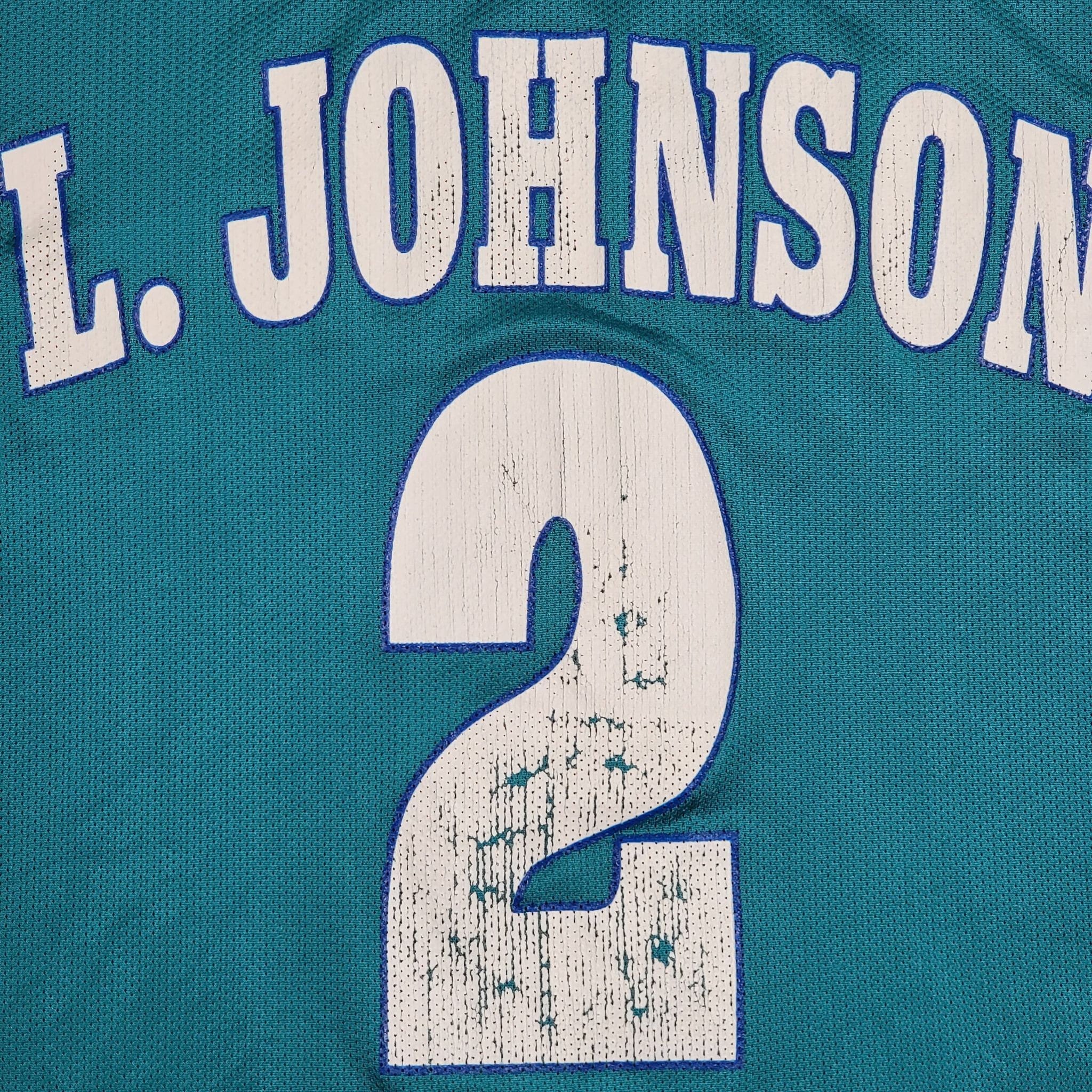 Vintage Charlotte Hornets Larry Johnson Champion Basketball Jersey