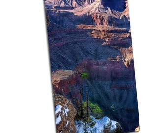Stretching to the Heavens from the Canyon Depth: A Tale of Resilience, Light, and the Eternal Spirit of the Grand Canyon