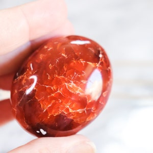 Pietra di palma carneliana