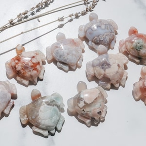 Colorful Flower Agate Turtles