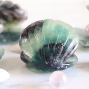 May include: Green and black fluorite crystal carved into the shape of a clam shell with a pink crystal inside. The clam shell is sitting on a white marble surface.