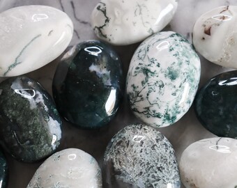 Moss Agate Palms Light and Dark