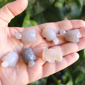 Agate Mini Turtles