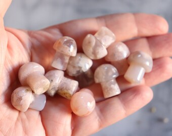 Flower Agate Mini Mushrooms