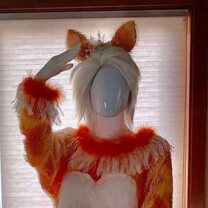 Orange tabby cat costume sales