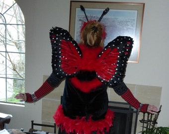 Made in USA! Used Social Butterfly Costume, Furry, Feathery Body (fits M to XL) Mini Shift, Wings, Antenna, Wrist Covers