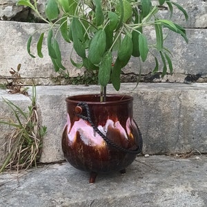 Peut inclure: Une plante de sauge dans un pot en céramique glaçurée brun et rose avec une poignée en corde noire. Le pot a trois pieds et est posé sur un escalier en pierre.
