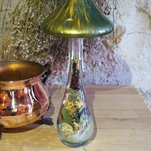 Beautiful Spell Jar Mushroom for Home Protection and Calming