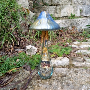 Peut inclure: Une bouteille en verre en forme de champignon avec un chapeau iridescent bleu et or. La bouteille est remplie d'herbes séchées, de fleurs et d'autres éléments naturels.