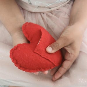 Può includere: Un oggetto a forma di cuore in feltro rosso con un bordo smerlato. Il cuore è tenuto tra le mani di una persona che indossa un vestito rosa.