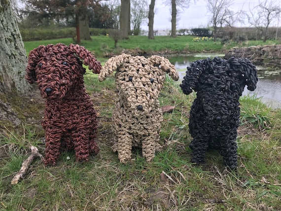 Puppy rope 2024