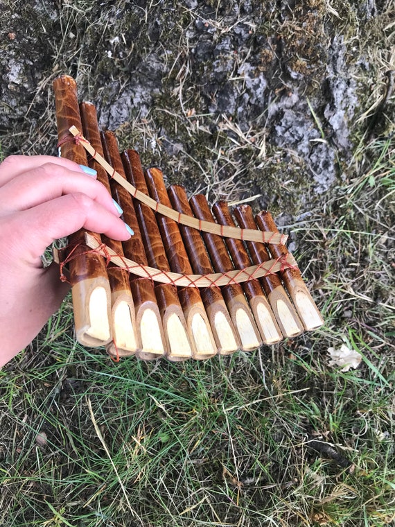 Pan harmonica new arrivals