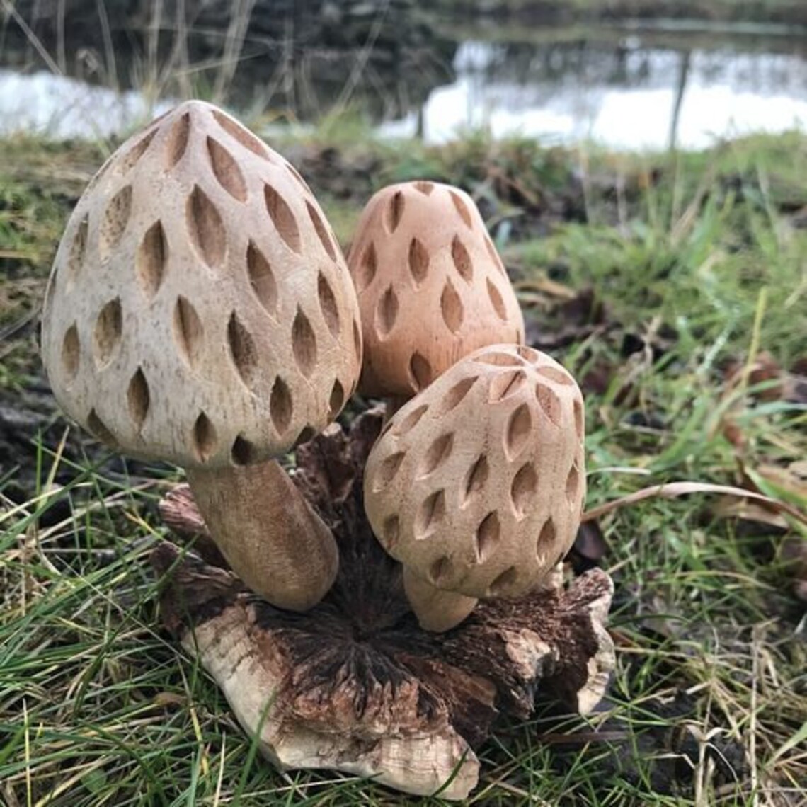 Hand carved wooden mushrooms Etsy
