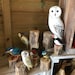 Owner of <a href='https://www.etsy.com/shop/OscarsCave?ref=l2-about-shopname&from_page=listing' class='wt-text-link'>OscarsCave</a>
