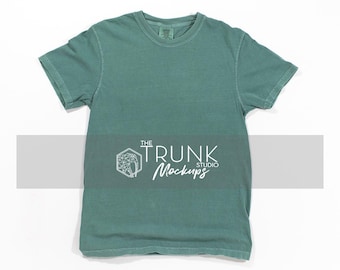 Comfort Colors 1717 Light Green Mockup | Shirt Only Flat Lay | JPG