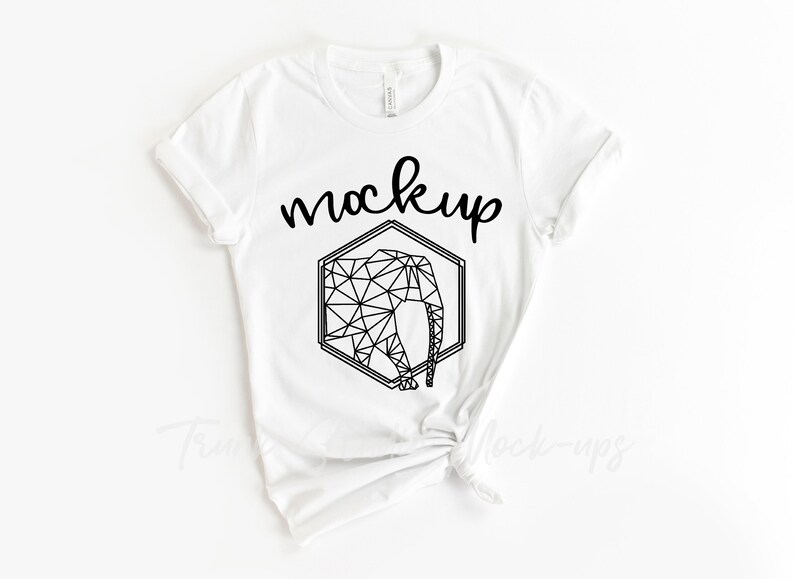 Bella Canvas White 3001 Mockup Womens Blank Shirt Mock Up