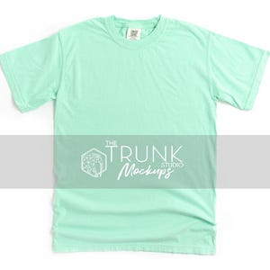 Comfort Colors 1717 Island Reef Mockup | Shirt Only Flat Lay | JPG