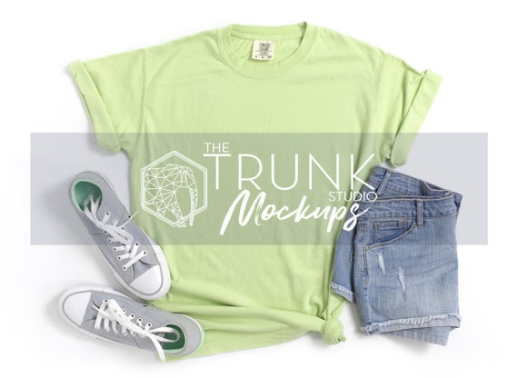 Comfort Colors 1717 Celadon Mockup 1717 