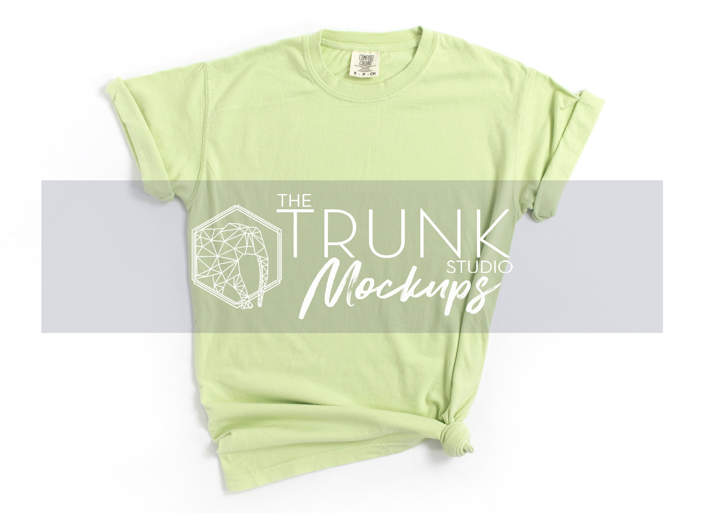 Comfort Colors 1717 Celadon Mockup 