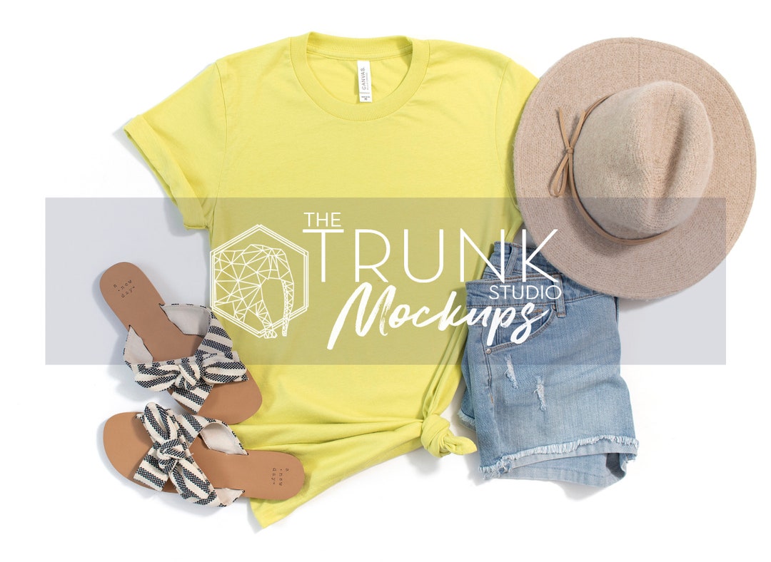 3001 STROBE Mockup Strobe 3001 Mockup Bella Canvas 3001 Etsy