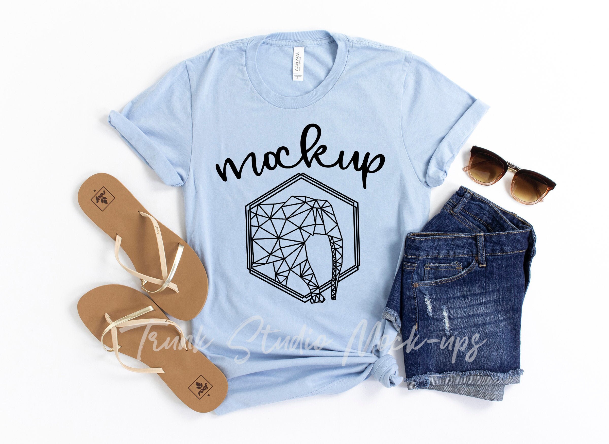 Download BABY BLUE Bella Canvas 3001 T-Shirt Mock Up Womens Shirt ...
