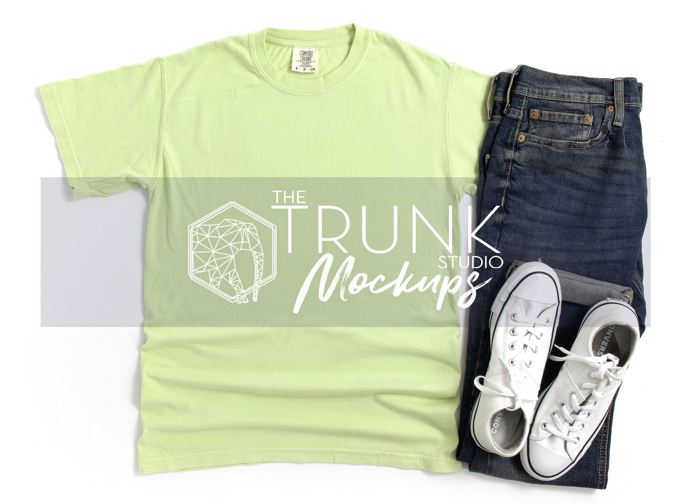 Comfort Colors 1717 Celadon Mockup 1717 
