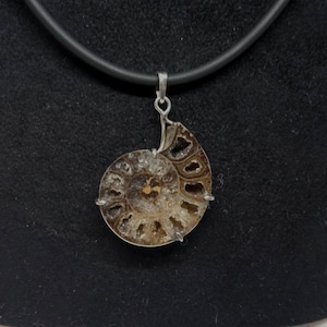 Ammonite pendant set in silver, 30x30x5, on a rubber necklace 42 cm.