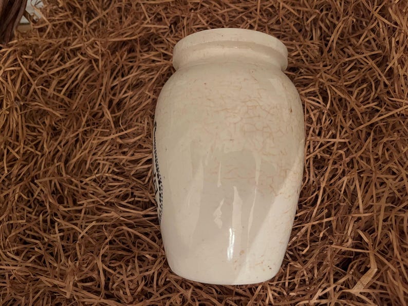 Numol Body Builder Lecithin Food Pot - Etsy
