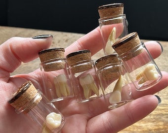 Resin Tooth in Glass Jar, Macabre Oddity Display (4cm) x1