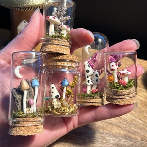 May include: Five small glass jars with cork tops, each containing a miniature forest scene with different types of mushrooms and flowers. The jars are held in a hand.