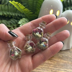 May include: Four miniature hexagonal glass bottles with cork stoppers, each containing dried moss, small colourful dried flowers, and a tiny white ghost figurine with black eyes. The clear glass vials are held together in a cluster.
