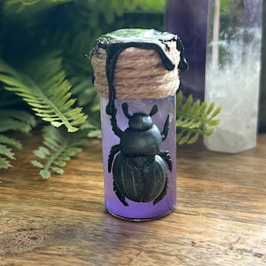 May include: A small glass vial containing a dark beetle figurine and a purple liquid. The vial is sealed with a twine-wrapped cork and a black, dripped substance. The background includes green foliage and crystal formations.