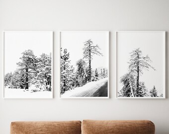 Snow on Trees Print, Set of 3 Black and White Prints, Printable Wall Art, Winter Poster, Ski Gift, Digital Download, Minimalist Decor Nature