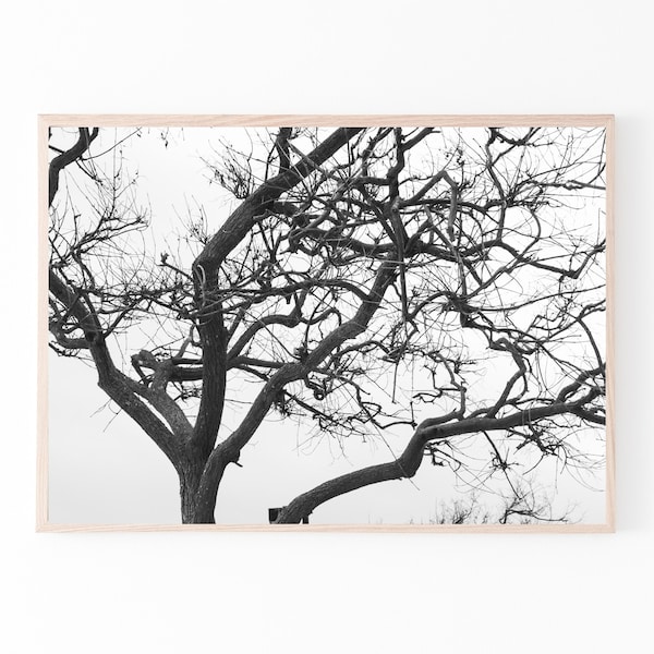 Black and white tree print, printable wall art, landscape poster, digital prints, tree top print, branches photography, modern home decor