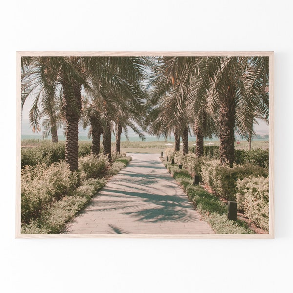 Palms road Print, Printable Wall Art, Sea of Galilee Israel Landscape, Digital Wall Prints, Tree lined road, Nature Photography, home Decor