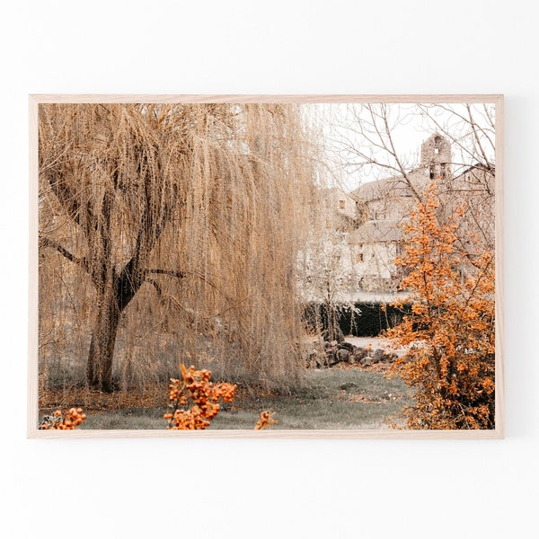 Willow tree print, printable wall art, Spain photography, digital prints, autumn peach orange colors poster, instant download, wall decor