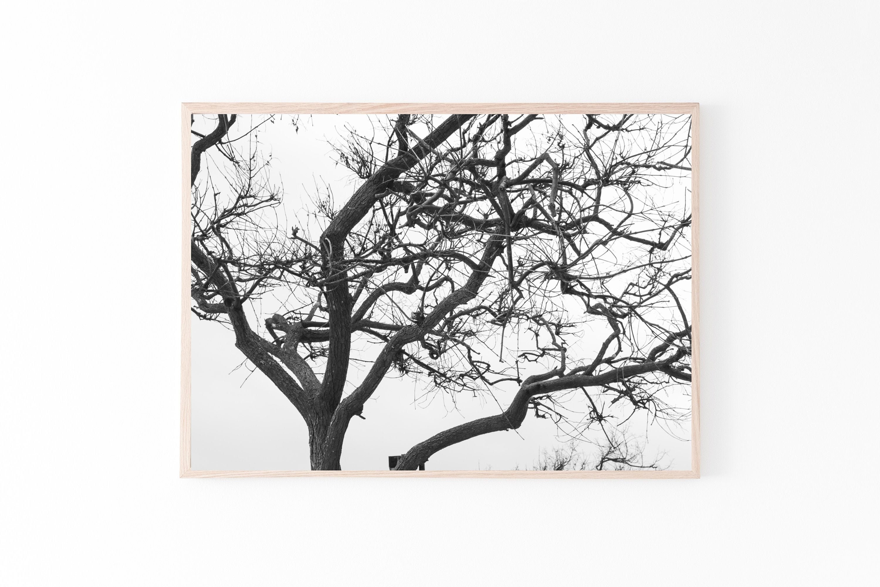 Black and White Tree Print Printable Wall Art Landscape Etsy