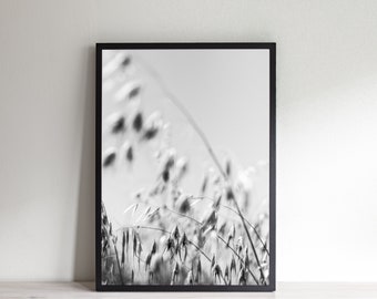 Black and white print, nature poster, gift for her, decor, printable wall art, digital prints, minimalist wall decor, photography prints