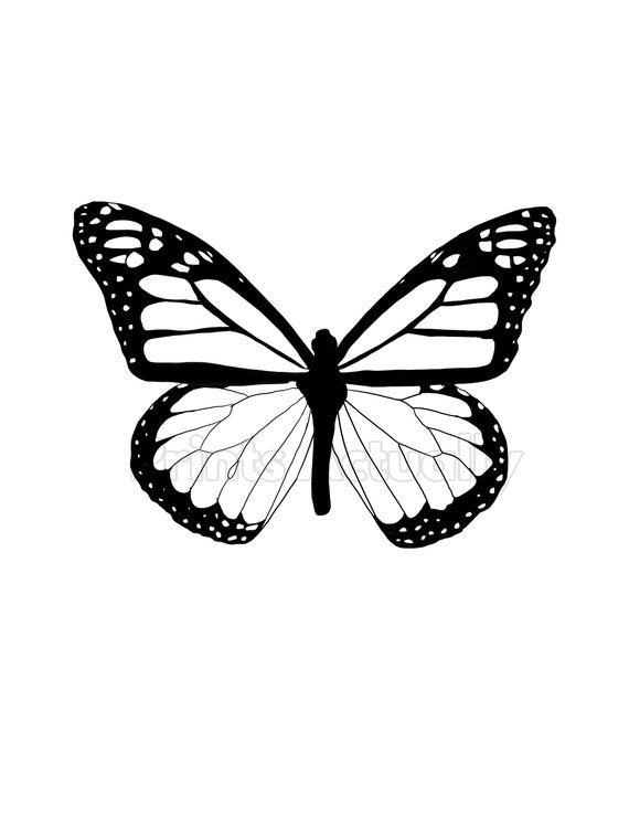 Butterfly Clipart Transparent Background Hand Drawn Etsy